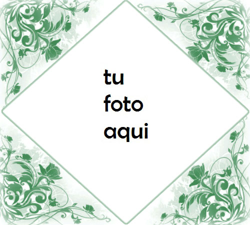 Flores Verdes De Lujo Marco Para Foto - Flores Verdes De Lujo Marco Para Foto