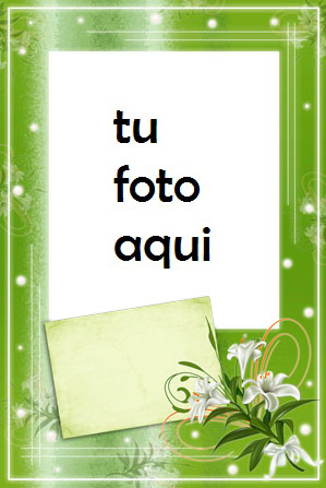 Flores Y Rosas Verdes Marco Para Foto - Flores Y Rosas Verdes Marco Para Foto
