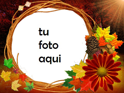 Flores de otoño Marco Para Foto - Flores de otoño Marco Para Foto