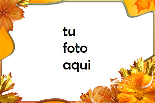 Flores de otoño en otoño Marco Para Foto - Flores de otoño en otoño Marco Para Foto