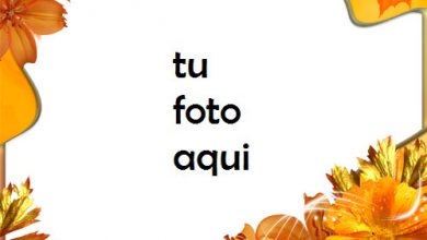 Flores de otoño en otoño Marco Para Foto 390x220 - Flores de otoño en otoño Marco Para Foto