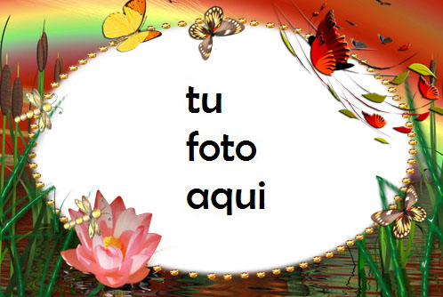 Flores en un lago Marco Para Foto - Flores en un lago Marco Para Foto