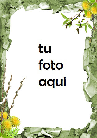 Flores mariposas y plantaciones verdes Marco Para Foto - Flores mariposas y plantaciones verdes Marco Para Foto