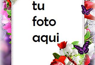 Fuerte Sentimiento De Amor Marco Para Foto 318x220 - Fuerte Sentimiento De Amor Marco Para Foto