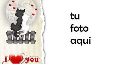 Gato De Amor Romántico Marco Para Foto 390x220 - Gato De Amor Romántico Marco Para Foto