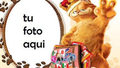 Gato travieso Marco Para Foto 390x220 - Gato travieso Marco Para Foto