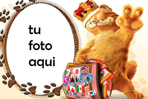 Gato travieso Marco Para Foto - Gato travieso Marco Para Foto