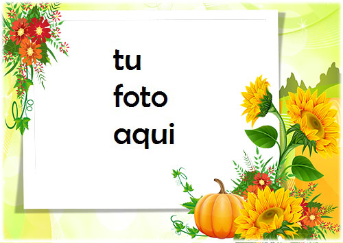 Girasoles Y Calabaza Marco Para Foto - Girasoles Y Calabaza Marco Para Foto