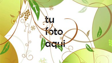 Gota De Jugo Marco Para Foto 390x220 - Gota De Jugo Marco Para Foto