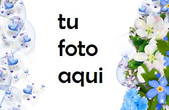 Hermosa Colección De Rosas Azules Marco Para Foto 336x220 - Hermosa Colección De Rosas Azules Marco Para Foto