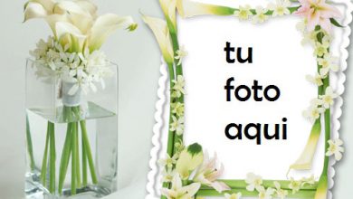 Hermosa Decoración Rosa Marco Para Foto 390x220 - Hermosa Decoración Rosa Marco Para Foto