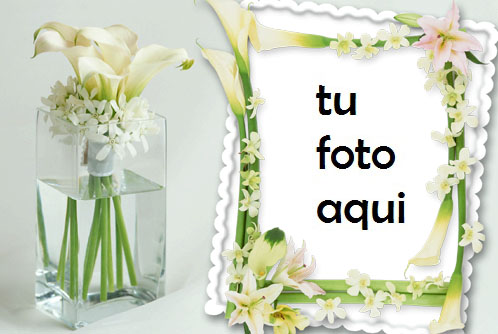 Hermosa Decoración Rosa Marco Para Foto - Hermosa Decoración Rosa Marco Para Foto
