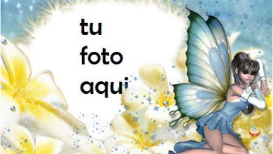 Hermosas Flores De Hadas Marco Para Foto 390x220 - Hermosas Flores De Hadas Marco Para Foto