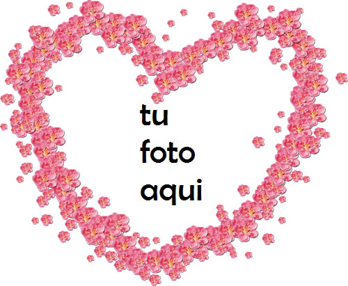 Hermosas flores rojas en forma de corazón Marco Para Foto - Hermosas flores rojas en forma de corazón Marco Para Foto