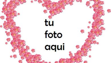 Hermosas flores rojas en forma de corazón Marco Para Foto 390x220 - Hermosas flores rojas en forma de corazón Marco Para Foto