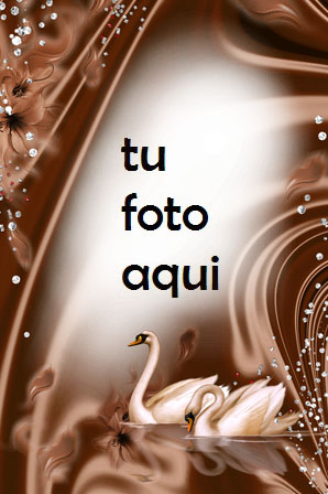 Hermoso Chocolate Marco Para Foto - Hermoso Chocolate Marco Para Foto
