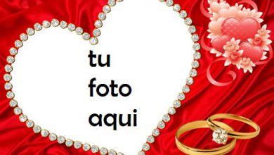 Hermoso Corazón Rojo Y Anillo De Bodas De Diamantes Marco Para Foto 390x220 - Hermoso Corazón Rojo Y Anillo De Bodas De Diamantes Marco Para Foto