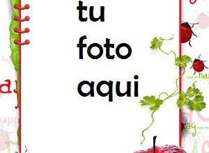 Hermoso Dia Marco Para Foto 300x220 - Hermoso Dia Marco Para Foto
