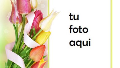 Hermoso Y Suave Ramo De Flores De Primavera Marco Para Foto 390x220 - Hermoso Y Suave Ramo De Flores De Primavera Marco Para Foto