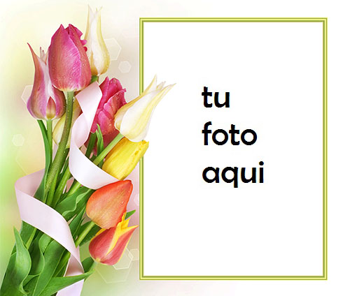 Hermoso Y Suave Ramo De Flores De Primavera Marco Para Foto - Hermoso Y Suave Ramo De Flores De Primavera Marco Para Foto