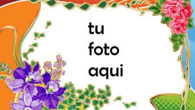 Hermosos Colores De Amor Marco Para Foto 390x220 - Hermosos Colores De Amor Marco Para Foto