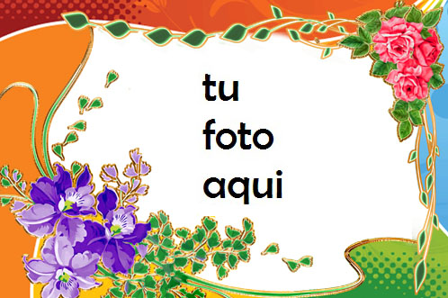 Hermosos Colores De Amor Marco Para Foto - Hermosos Colores De Amor Marco Para Foto