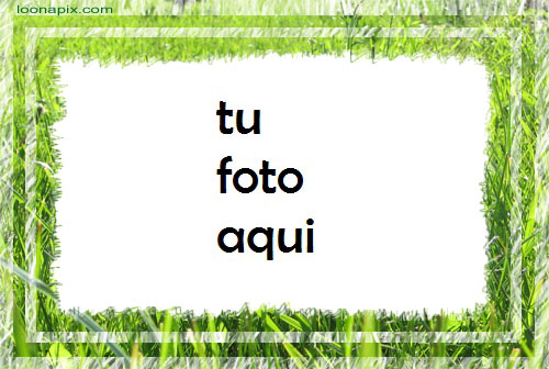 Hierba verde Marco Para Foto - Hierba verde Marco Para Foto
