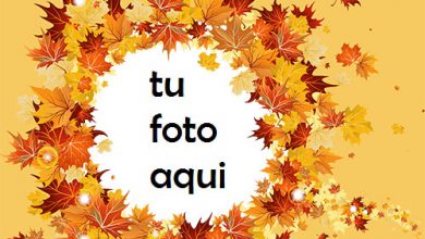 Hojas De Arce Marco Para Foto 390x220 - Hojas De Arce Marco Para Foto