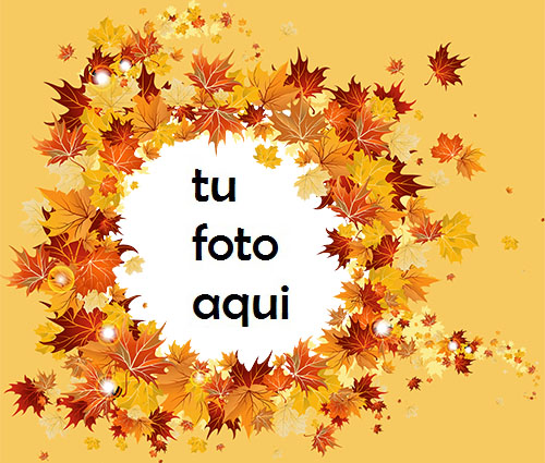 Hojas De Arce Marco Para Foto - Hojas De Arce Marco Para Foto