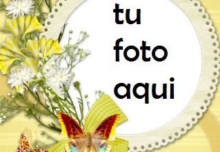 Humor Amarillo Marco Para Foto 319x220 - Humor Amarillo Marco Para Foto