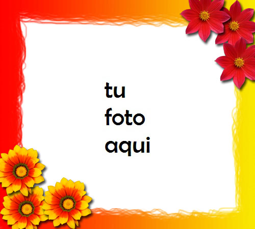 Imagen De Flores Rojas Y Naranjas Día De San Valentín Marco Para Foto - Imagen De Flores Rojas Y Naranjas Día De San Valentín Marco Para Foto