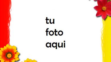 Imagen De Flores Rojas Y Naranjas Día De San Valentín Marco Para Foto 390x220 - Imagen De Flores Rojas Y Naranjas Día De San Valentín Marco Para Foto