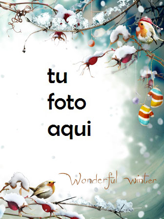 Invierno Maravilloso Marco Para Foto - Invierno Maravilloso Marco Para Foto