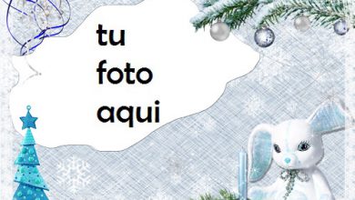 Invierno Tierno Marco Para Foto 390x220 - Invierno Tierno Marco Para Foto