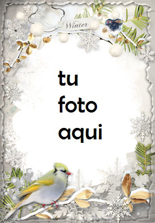 Invierno Tocando La Puerta Marco Para Foto - Invierno Tocando La Puerta Marco Para Foto