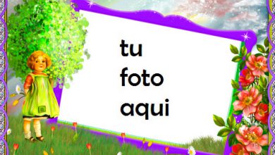 Jardín de flores Marco Para Foto 390x220 - Jardín de flores Marco Para Foto