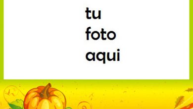 La Calabaza Como Uno De Los Símbolos De Halloween Marco Para Foto 390x220 - La Calabaza Como Uno De Los Símbolos De Halloween Marco Para Foto