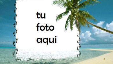 La Orilla Del Mar Marco Para Foto 390x220 - La Orilla Del Mar Marco Para Foto