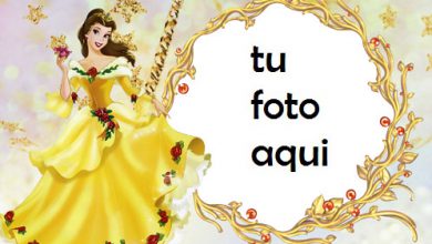 La Princesa Encantada Marcos Para Foto 390x220 - La Princesa Encantada Marcos Para Foto