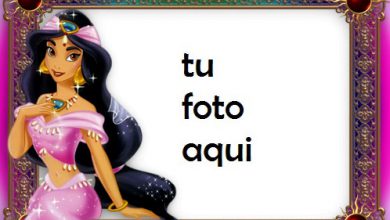 La Princesa Jazmín Y Aladdin Marcos Para Foto 390x220 - La Princesa Jazmín Y Aladdin Marcos Para Foto