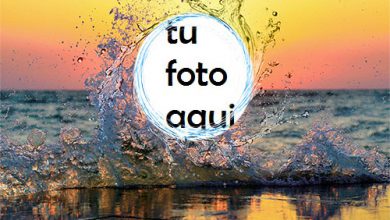 La Puesta De Sol Más Hermosa En La Playa. Marco Para Foto 390x220 - La Puesta De Sol Más Hermosa En La Playa. Marco Para Foto