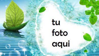 La Rosa Del Nilo Marco Para Foto 390x220 - La Rosa Del Nilo Marco Para Foto