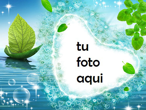 La Rosa Del Nilo Marco Para Foto - La Rosa Del Nilo Marco Para Foto