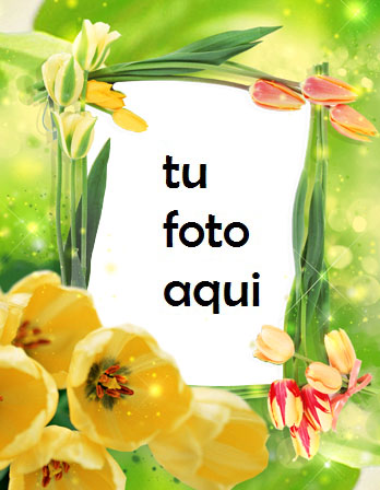 Las Flores De Tulipán Más Bellas Para Cada Amante. Marco Para Foto - Las Flores De Tulipán Más Bellas Para Cada Amante. Marco Para Foto