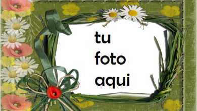 Las Flores Más Bellas Perfumadas Marco Para Foto 390x220 - Las Flores Más Bellas Perfumadas Marco Para Foto