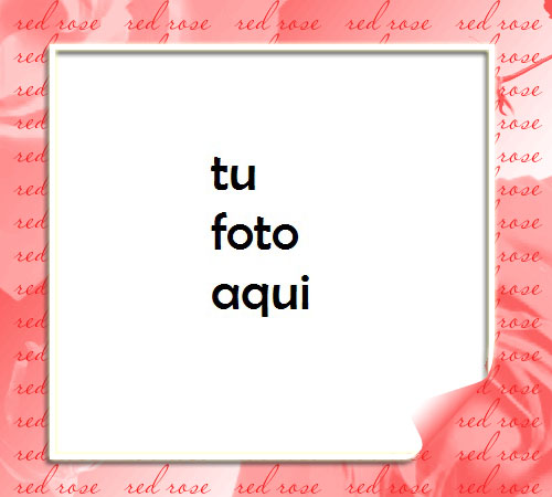 Las Flores Rojas Son Una Ternura Maravillosa Para El Día De San Valentín Marco Para Foto - Las Flores Rojas Son Una Ternura Maravillosa Para El Día De San Valentín Marco Para Foto