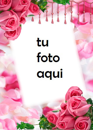 Las Rosas Y Flores Rojas Más Bellas Para El Matrimonio. Marco Para Foto - Las Rosas Y Flores Rojas Más Bellas Para El Matrimonio. Marco Para Foto