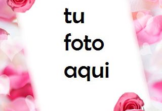 Las Rosas Y Flores Rojas Más Bellas Para El Matrimonio. Marco Para Foto 320x220 - Las Rosas Y Flores Rojas Más Bellas Para El Matrimonio. Marco Para Foto