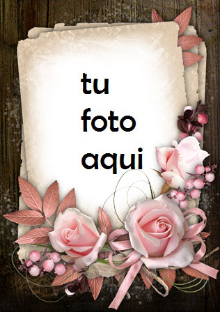 Las flores son muy finas de color rosa Marco Para Foto - Las flores son muy finas de color rosa Marco Para Foto
