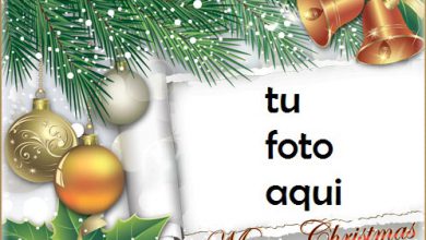 Le Deseamos Una Feliz Navidad Marco Para Foto 390x220 - Le Deseamos Una Feliz Navidad Marco Para Foto